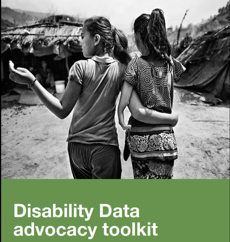 Disability Data advocacy toolkit