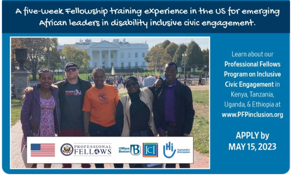 Professional Fellows Program on Inclusive Civic Engagement