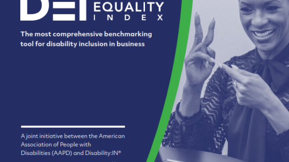 The Disability Equality Index (DEI) 2023
