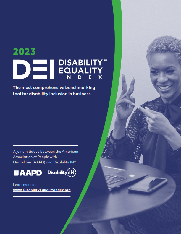 The Disability Equality Index (DEI) 2023