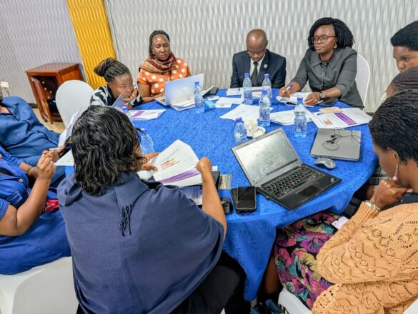 Consortium partners implementing the Collective Action for Disability Rights
